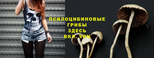 хмурый Алексин