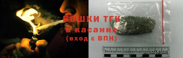 хмурый Алексин