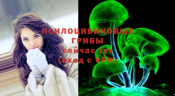 хмурый Алексин
