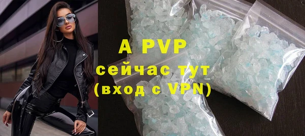 хмурый Алексин
