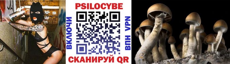 Псилоцибиновые грибы прущие грибы Купить закладки Богданович